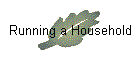 Running a Household