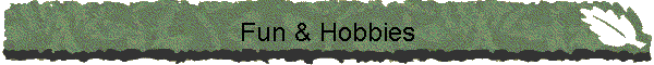 Fun & Hobbies