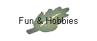 Fun & Hobbies