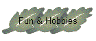 Fun & Hobbies
